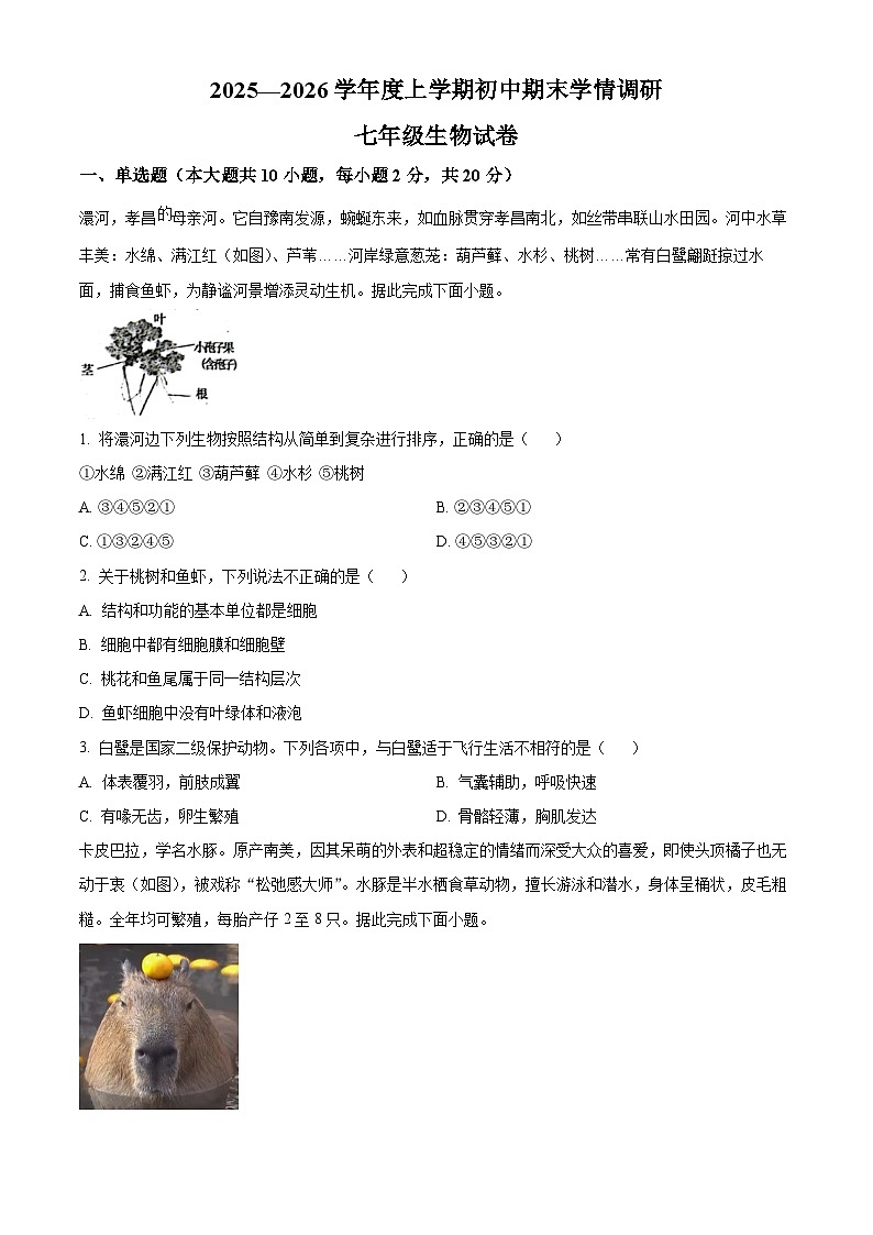 湖北孝感市孝昌县2025-2026学年度上学期初中期末学情调研七年级生物试卷(试卷+解析)第1页