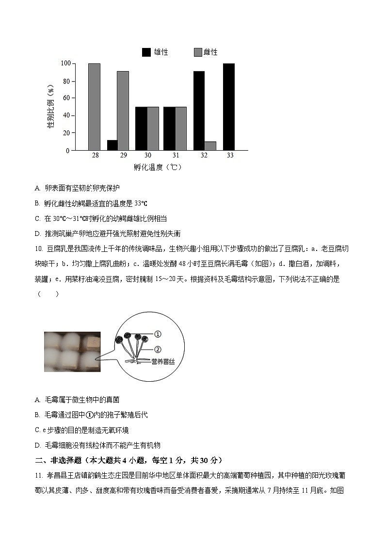 湖北孝感市孝昌县2025-2026学年度上学期初中期末学情调研七年级生物试卷(试卷+解析)第3页