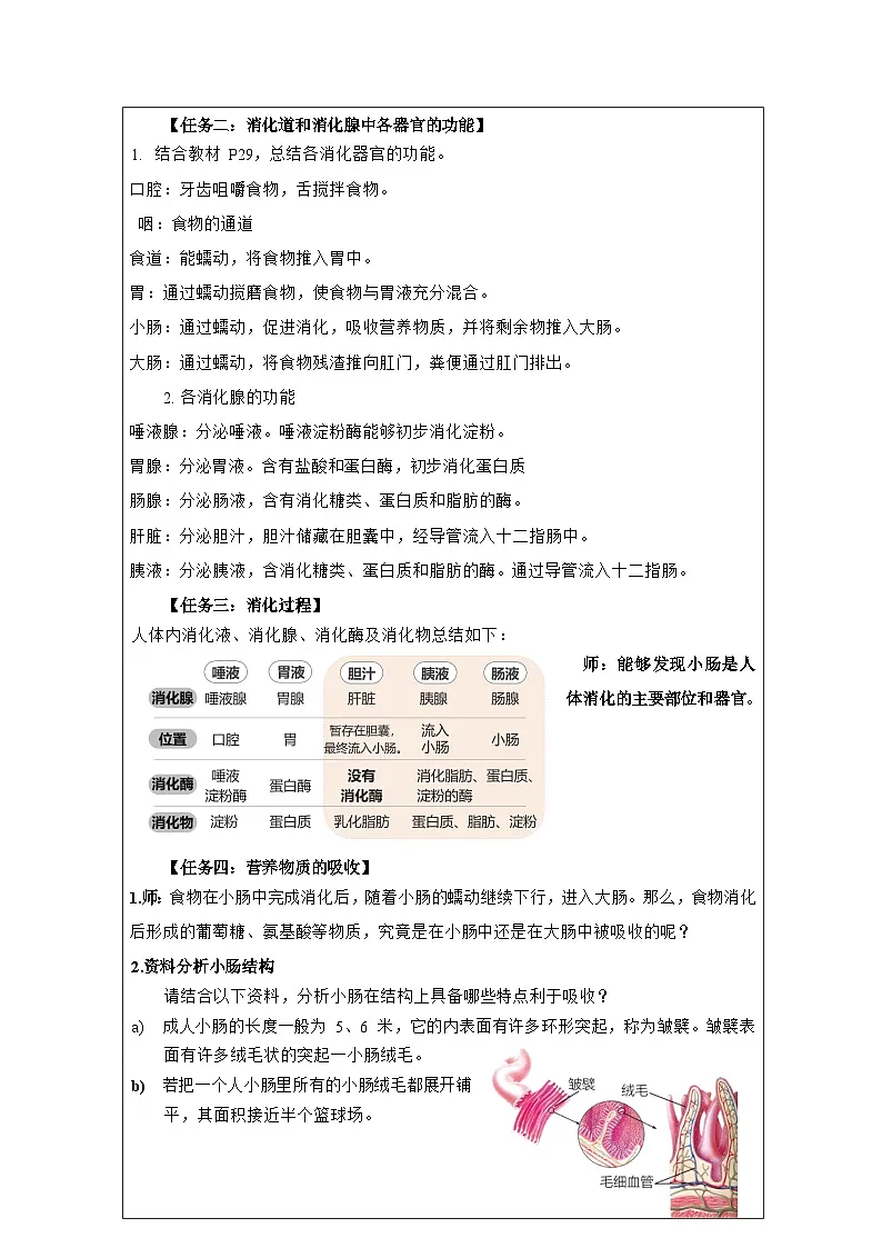 人教版初中生物七年级下册(2024)4.2.2 消化和吸收 教学设计(表格式)第2页