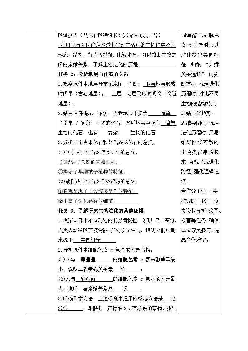 6.3.2生物进化的历程——生命的延续和发展【导学案】——2026年初中生物八年级下册人教版docx - 教师版第2页