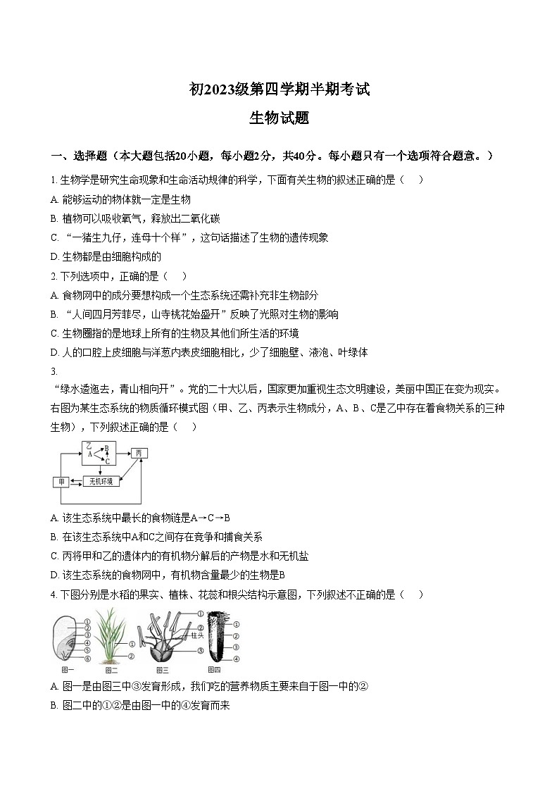 四川省资阳市安岳中学2024_2025学年八年级下学期学情检测生物试题(文字版,含答案)第1页