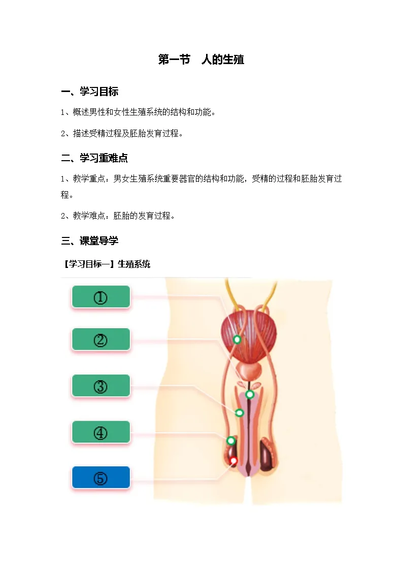 人教2024初中生物七下3-3-1《人的生殖》导学案(无答案)第1页