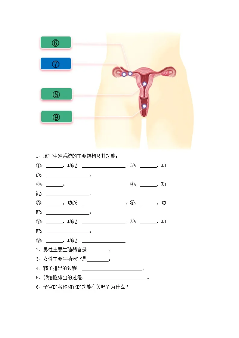 人教2024初中生物七下3-3-1《人的生殖》导学案(无答案)第2页