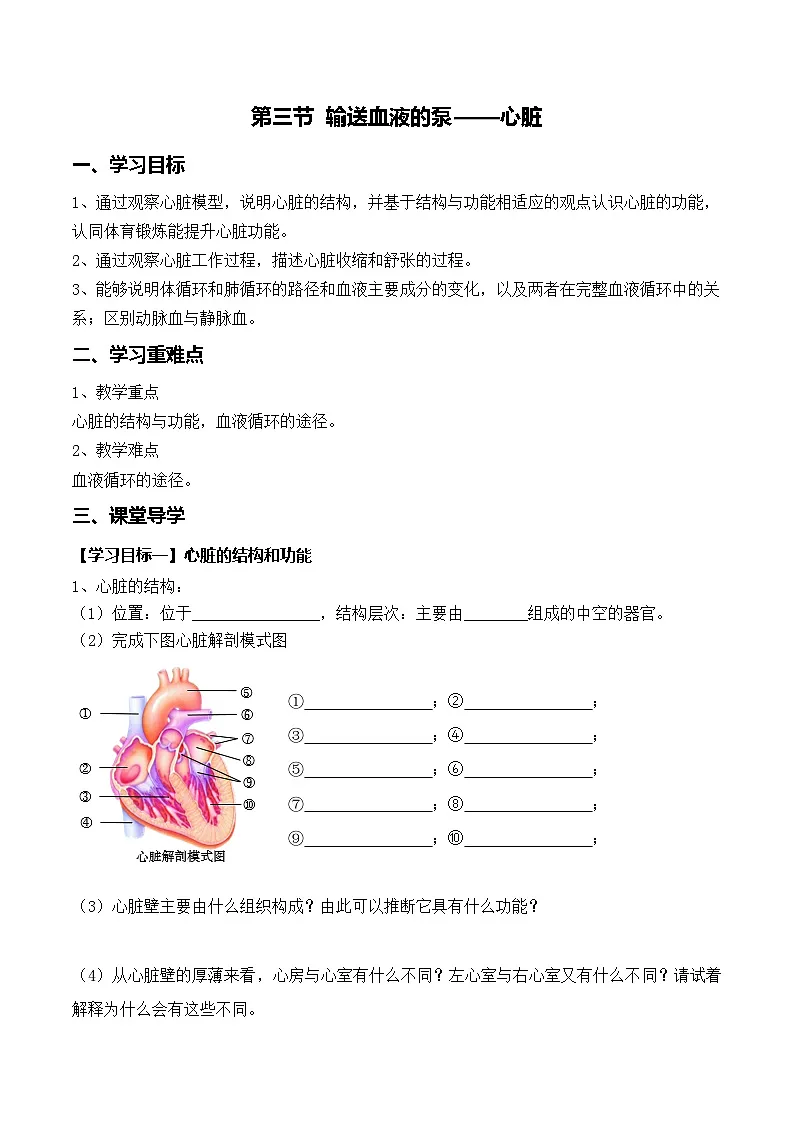 人教2024初中生物七下4-4-2《输送血液的泵——心脏》导学案(无答案)第1页