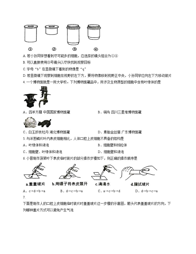四川省宜宾市长宁县2025_2026学年七年级上学期11月期中生物试题(文字版,含答案)第2页