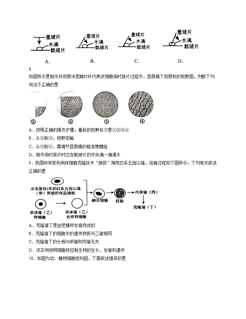 四川省宜宾市长宁县2025_2026学年七年级上学期11月期中生物试题(文字版,含答案)第3页