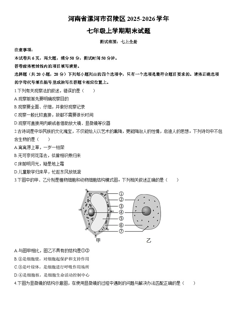 2025-2026学年河南省漯河市召陵区七年级上学期期末考试生物试卷(学生版)第1页