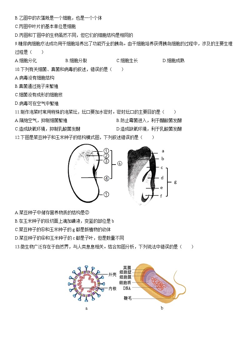 2025-2026学年河南省漯河市召陵区七年级上学期期末考试生物试卷(学生版)第3页