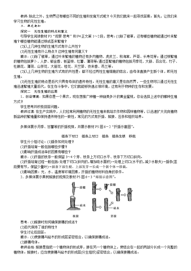 2026年八年级生物下册 人教版(2024)电子教案第1章 生物的生殖第1节 无性生殖第2页