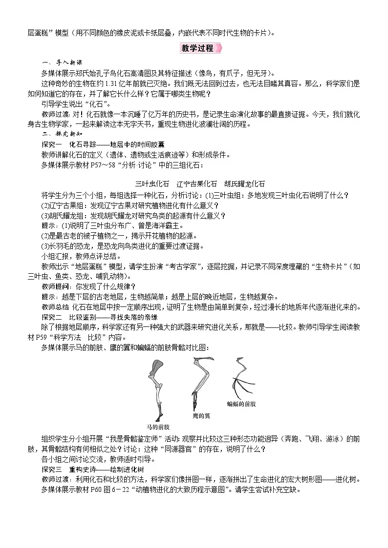 2026年八年级生物下册 人教版(2024)电子教案第3章 生物的进化第2节 生物进化的历程第2页