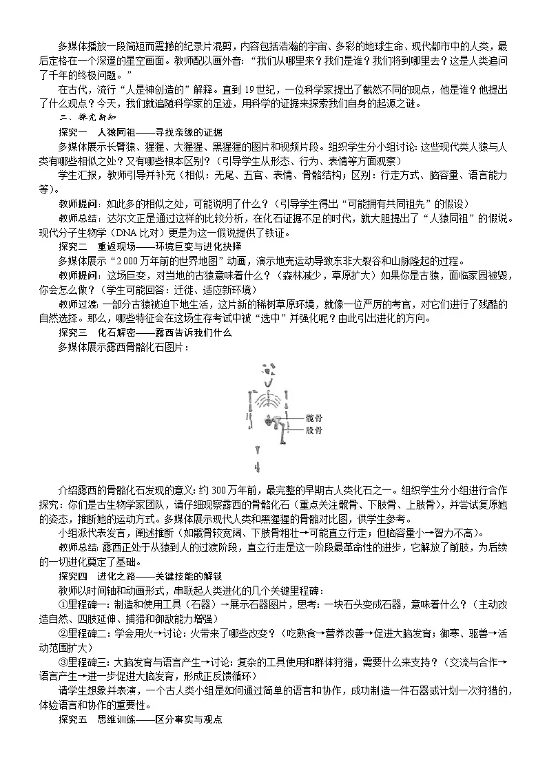 2026年八年级生物下册 人教版(2024)电子教案第3章 生物的进化第4节 人类的起源第2页