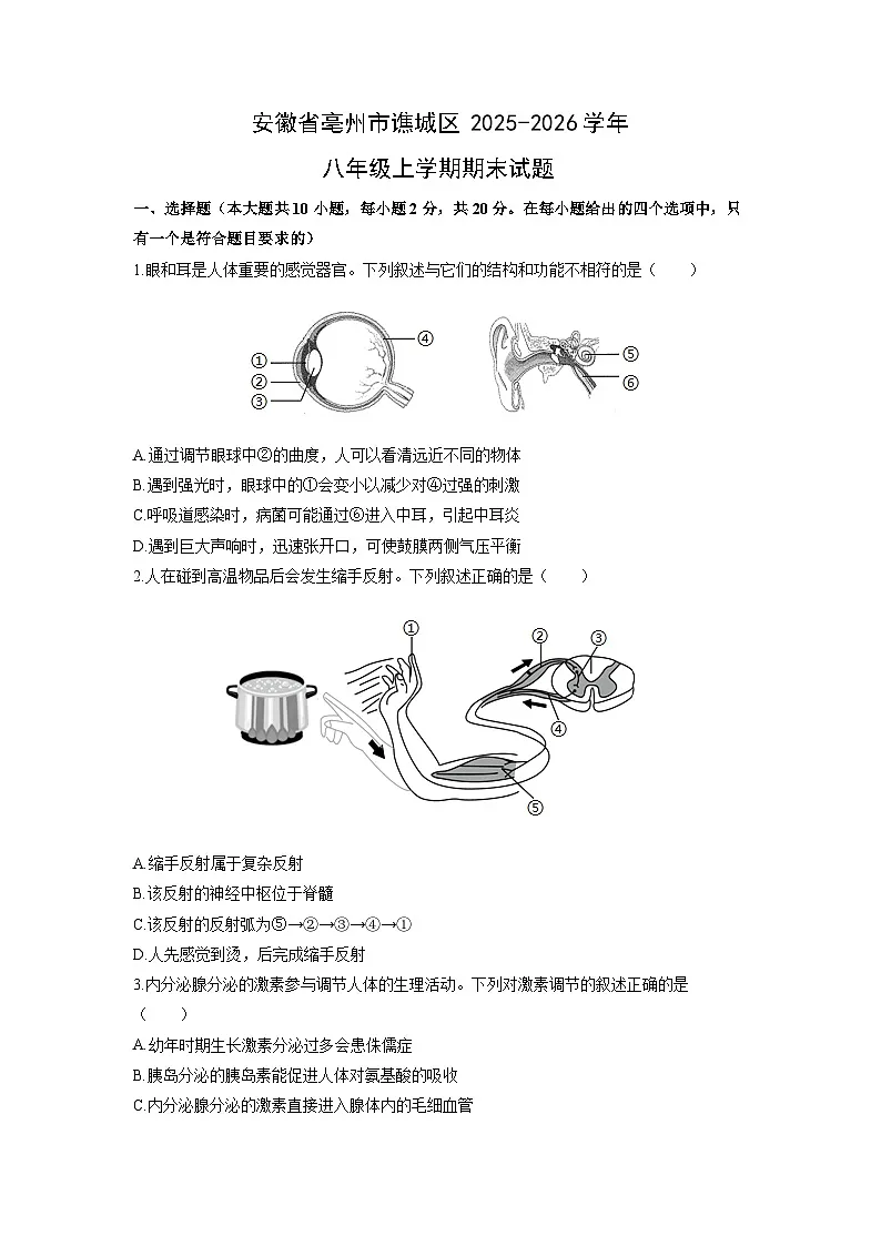 2025-2026学年安徽省亳州市谯城区八年级上学期期末生物试卷(学生版)第1页