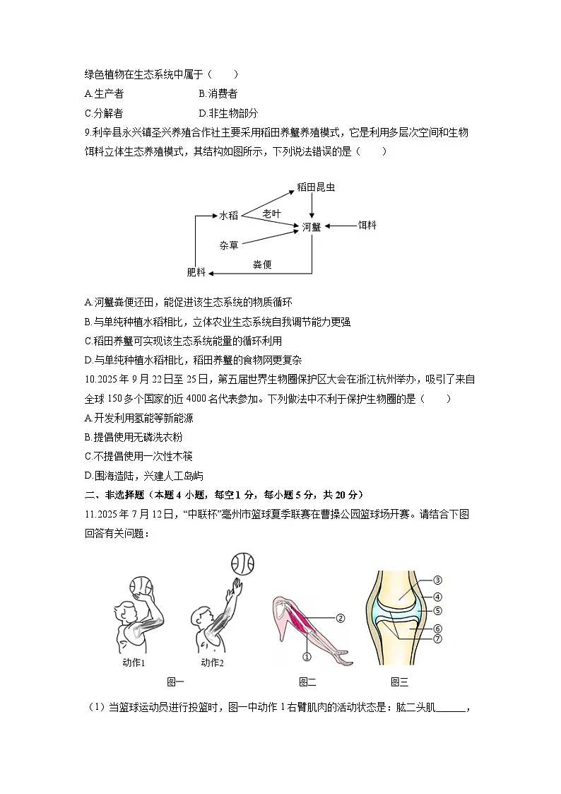 2025-2026学年安徽省亳州市谯城区八年级上学期期末生物试卷(学生版)第3页