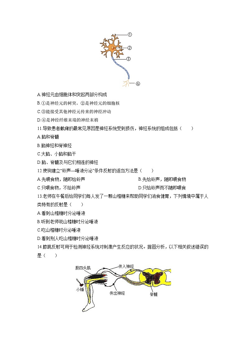 2025-2026学年河南省平顶山市鲁山县八年级上学期期末生物试卷(学生版)第3页