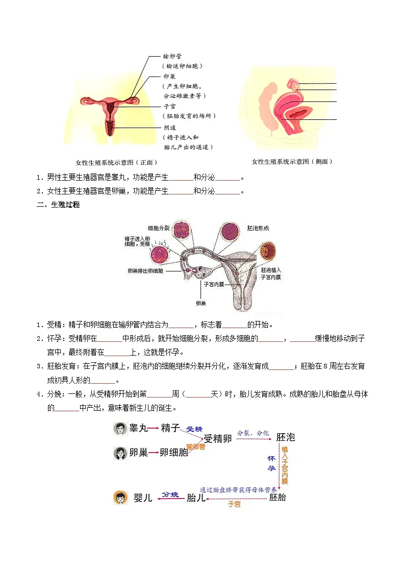 04 人体生理与健康(一)-2026年中考生物知识盘点与通关测试(挖空版)第2页