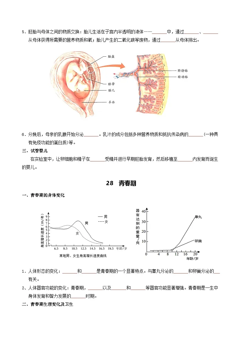 04 人体生理与健康(一)-2026年中考生物知识盘点与通关测试(挖空版)第3页