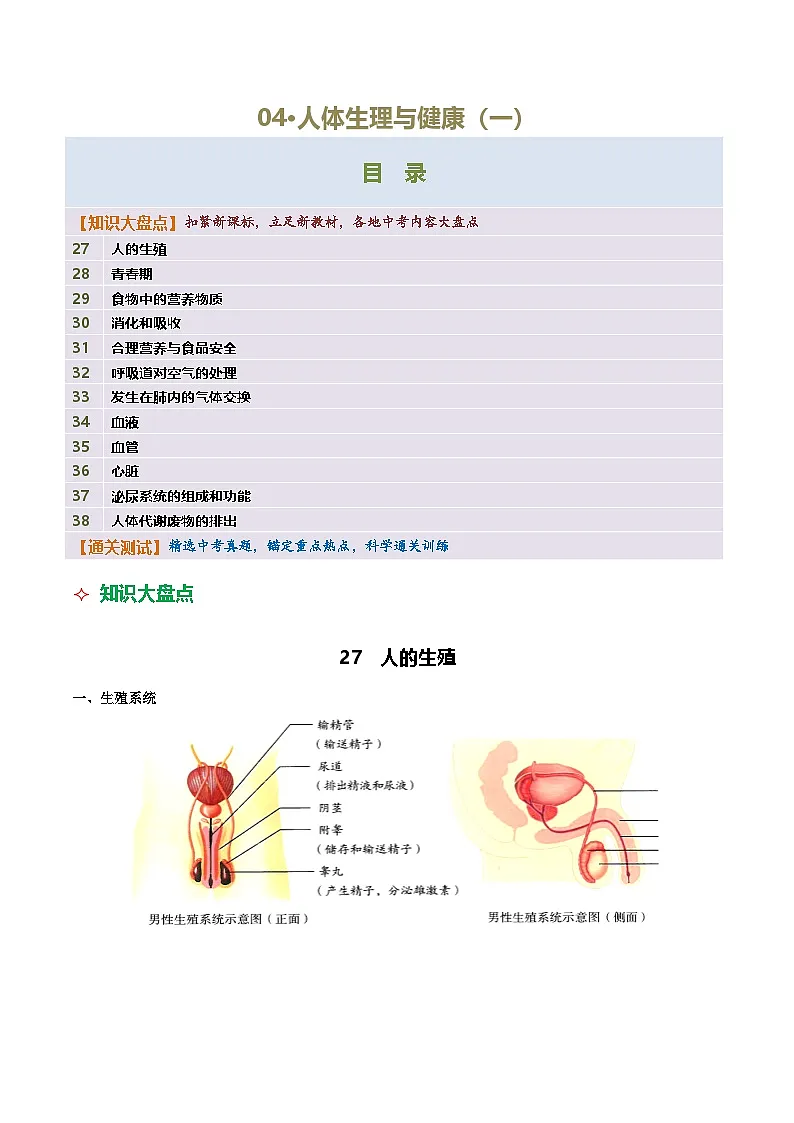 04 人体生理与健康(一)-2026年中考生物知识盘点与通关测试(解析版)第1页