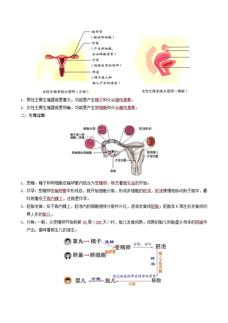 04 人体生理与健康(一)-2026年中考生物知识盘点与通关测试(解析版)第2页