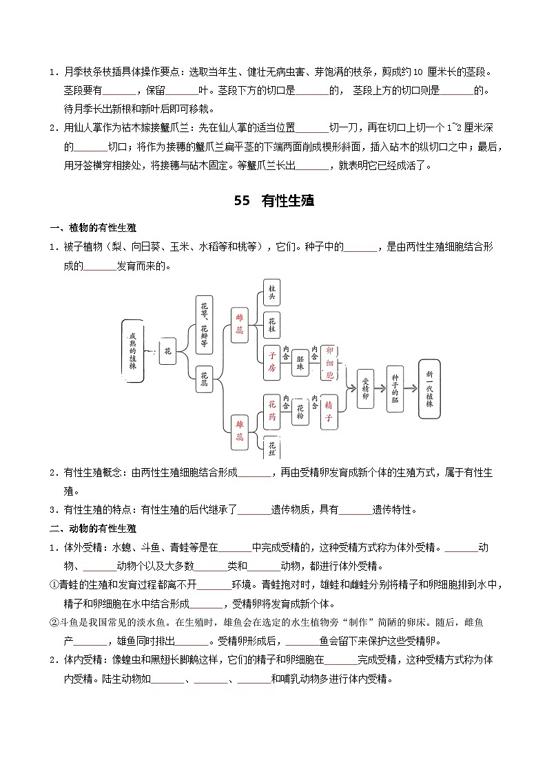 07 生物的生殖和遗传变异-2026年中考生物知识盘点与通关测试(挖空版)第3页
