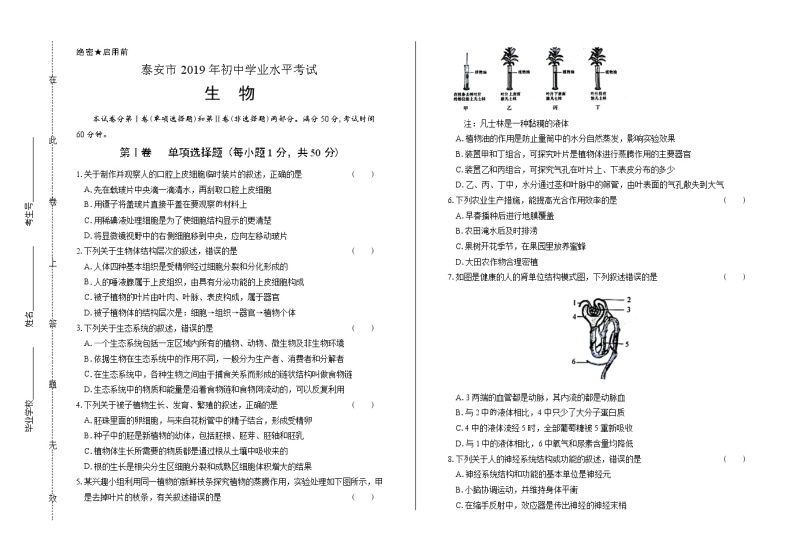 2019年山东省泰安中考生物试卷（含答案与解析）01