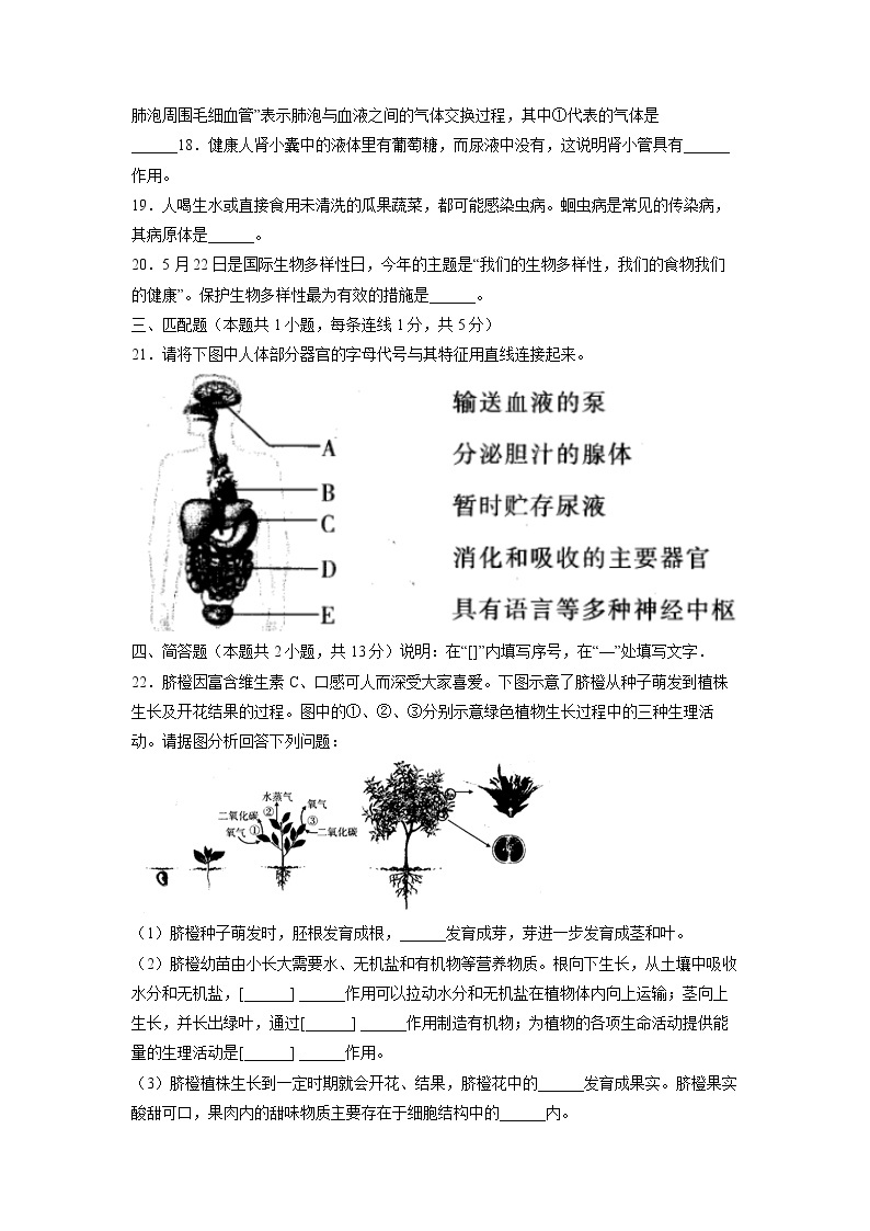 2019年辽宁省大连市中考生物试卷（含解析）03