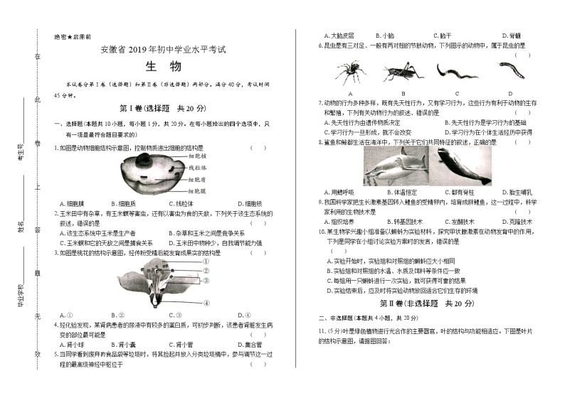 2019年安徽省中考生物试卷（含答案与解析）01