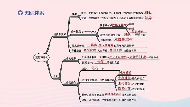 (杭州专版)2020中考生物复习方案第10课时遗传和进化课件02