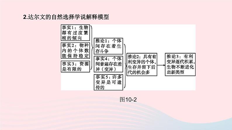 (杭州专版)2020中考生物复习方案第10课时遗传和进化课件04