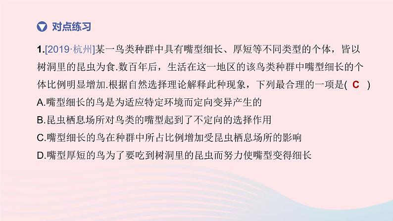 (杭州专版)2020中考生物复习方案第10课时遗传和进化课件05