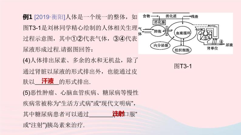 （杭州专版）2020中考生物复习方案专题03人体的物质和能量转换课件05