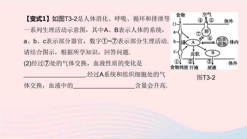 （杭州专版）2020中考生物复习方案专题03人体的物质和能量转换课件08