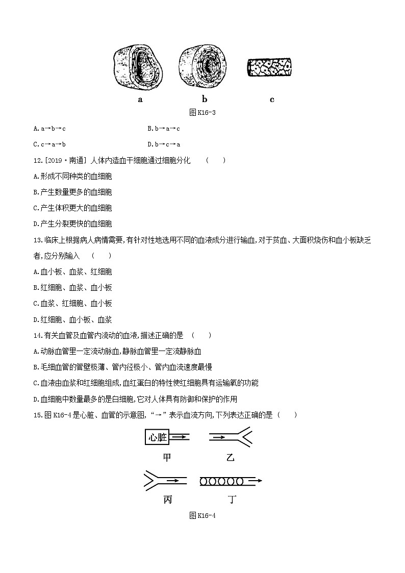 2020中考生物一轮复习方案第三单元生物圈中的人课时训练16血液血管和血型输血试题第3页