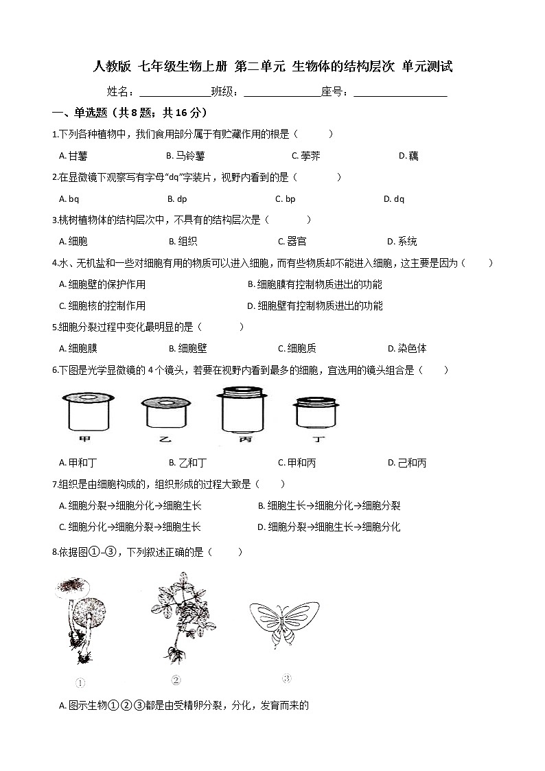 人教版 七年級(jí)生物上冊 第二單元 生物體的結(jié)構(gòu)層次 單元測試（word文檔含答案）第1頁