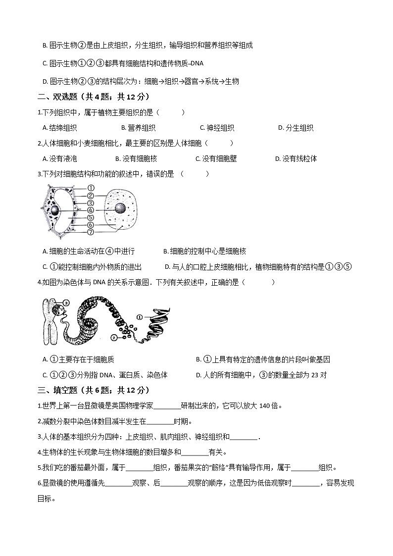 人教版 七年級(jí)生物上冊 第二單元 生物體的結(jié)構(gòu)層次 單元測試（word文檔含答案）第2頁