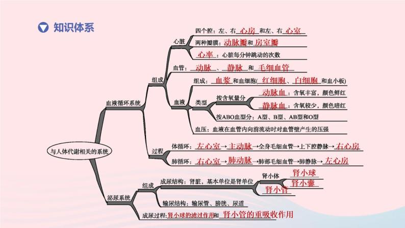 杭州专版2020中考生物复习方案第07课时与人体代谢相关的系统―循环