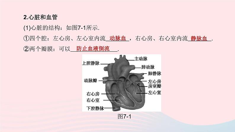 杭州专版2020中考生物复习方案第07课时与人体代谢相关的系统――循环和泌尿课件05