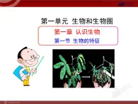 第1节生物的特征 课件