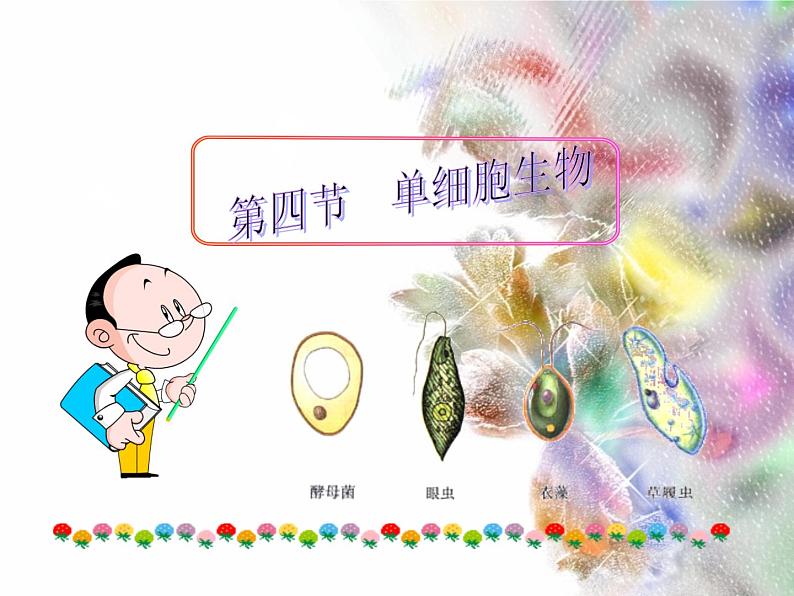 单细胞生物体.ppt用第2页