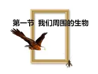 1.1.1 我们周围的生物 苏教版七年级生物上册课件(共36张PPT)