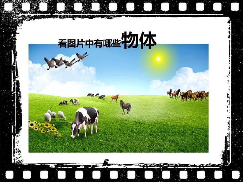 1.1.1 我们周围的生物 苏教版七年级生物上册课件(共36张PPT)02