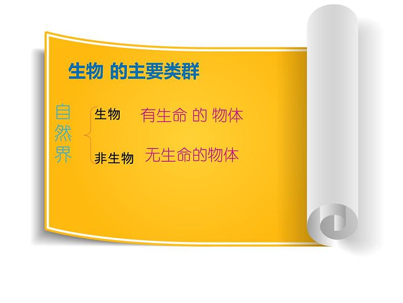 1.1.1 我们周围的生物 苏教版七年级生物上册课件(共36张PPT)04