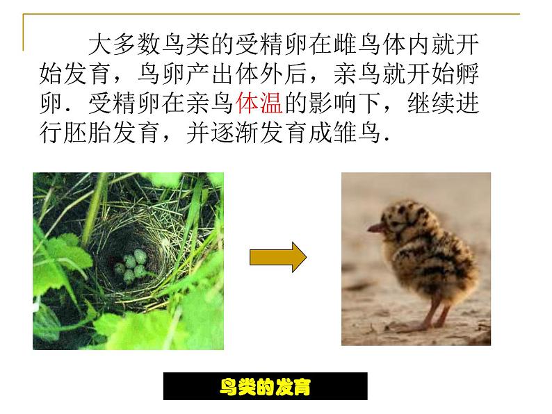 苏科版八年级上册生物课件 20.2动物的发育 (22张ppt)03