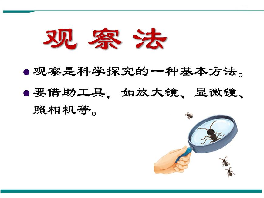 1.1.1 生物的特征 PPT教學(xué)課件第3頁