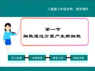 2.2.1 细胞通过分裂产生新细胞 PPT教学课件