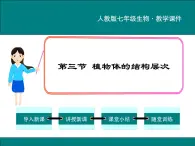 2.2.3 植物体的结构层次 PPT教学课件