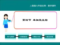 2.2.4 单细胞生物 PPT教学课件