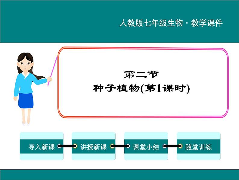 3.1.2 种子植物 第1课时 PPT教学课件01