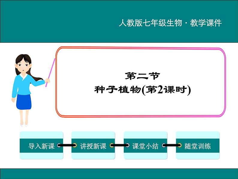 3.1.2 种子植物 第2课时 PPT教学课件第1页