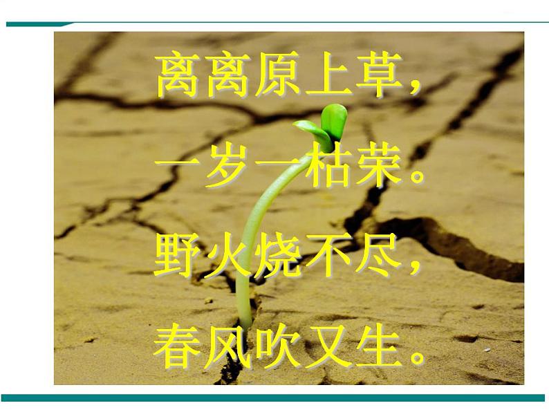 3.2.1 种子的萌发 PPT教学课件03