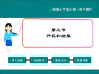 3.2.3 开花和结果 PPT教学课件